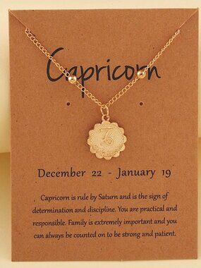Capricorn December-January Zodiac Charm Necklace